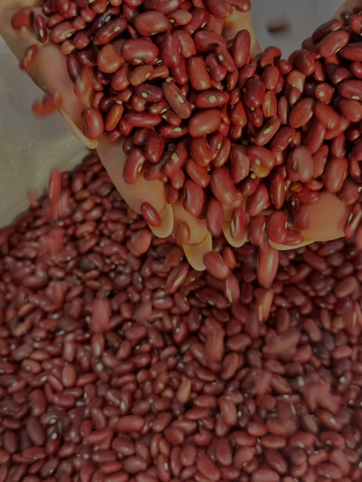 FRIJOLES ROJOS NICARAGUENSES (2 Lbs) auténtico de La Nica Shop