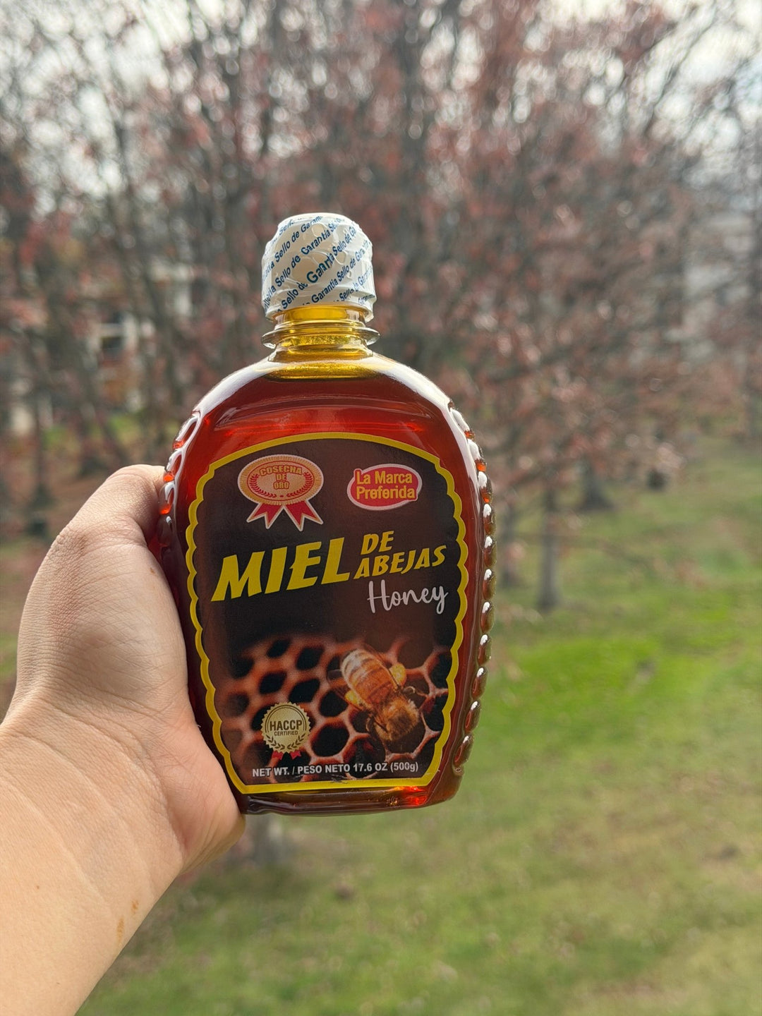 Miel de Abeja auténtico de La Nica Shop